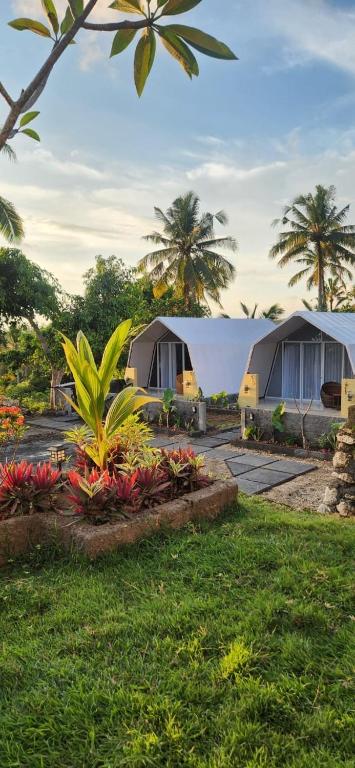 Nusa Penida: Nơi Nghỉ Dưỡng Đẳng Cấp, Trải Nghiệm Khó Quên